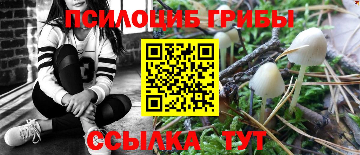 где купить наркоту  Вход с VPN  Псилоцибиновые грибы Magic Shrooms  Кимры  Псилоцибиновые грибы Psilocybe 