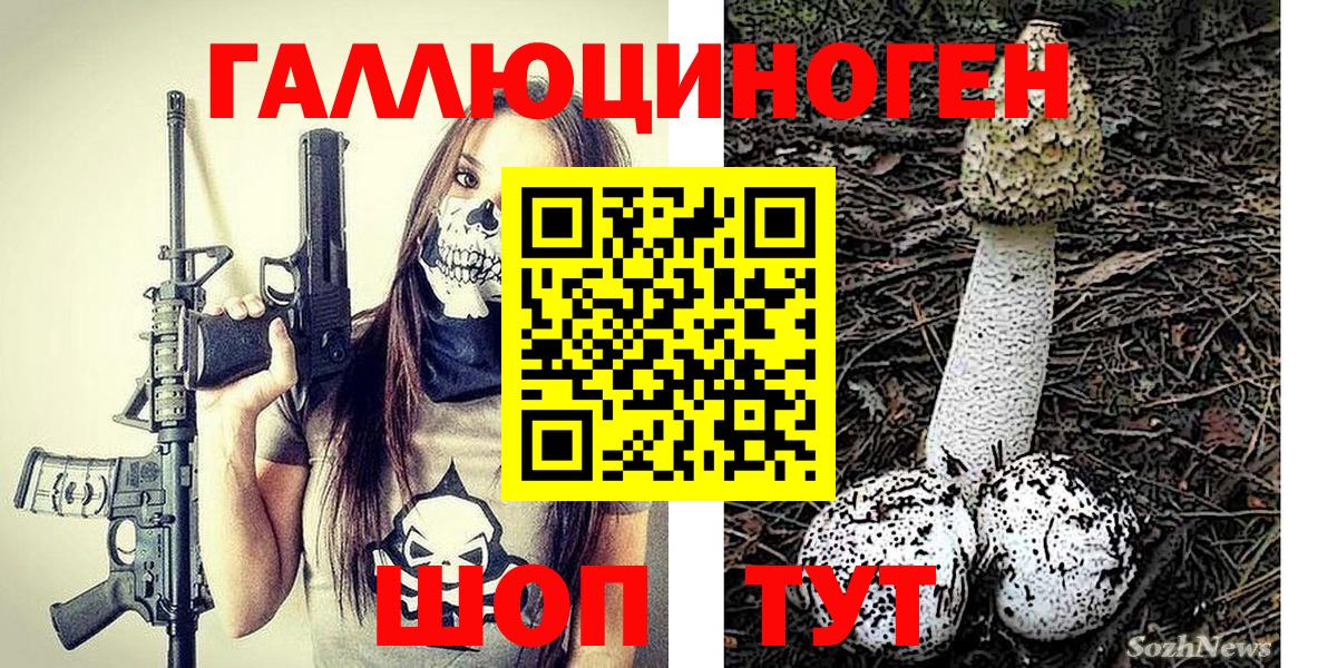 Псилоцибиновые грибы прущие грибы Кимры